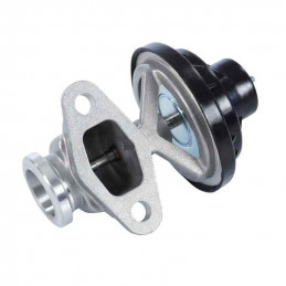 Vanne EGR Seat Arosa Cordoba Ibiza Leon Toledo2 Skoda Fabia Octavia Vw Bora Caddy Golf4 Lupo Polo 1.9 Sdi  EGRVW015