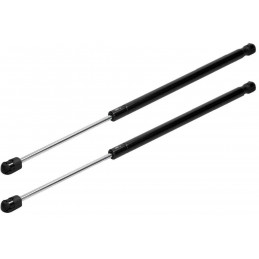 Pack de 2 Vérins de Coffre Renault Scénic 2  BF-91013*2