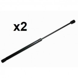 2x Verins de vitre arriere ouvrante Renault Espace 3  BF-91008*2