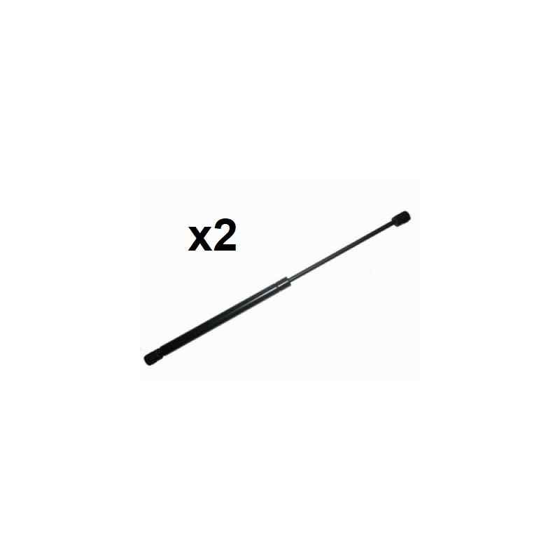 2x Verins de vitre arriere ouvrante Renault Espace 3  BF-91008*2