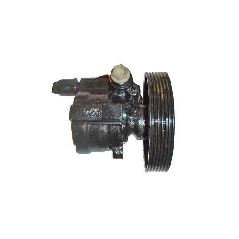 Pompe de direction assistée 