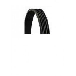 Courroie accessoire a nervure BOSCH...