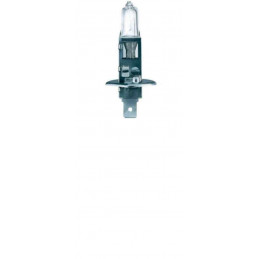 Ampoule Halogène H1 12v 