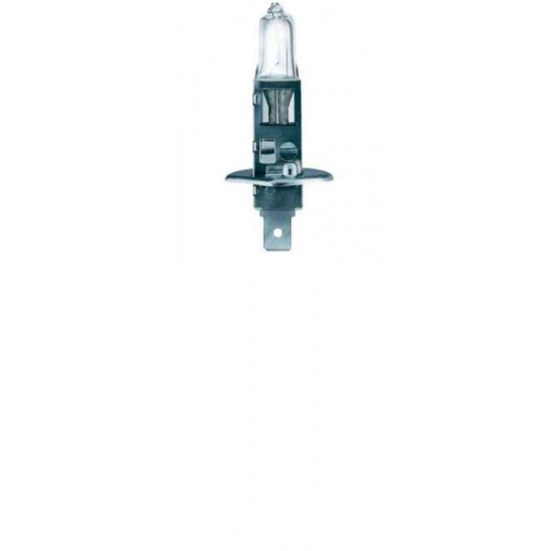 Ampoule Halogène H1 12v 