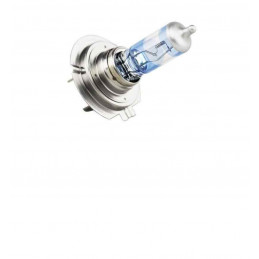 Ampoule halogène H7 12v 64210-01B