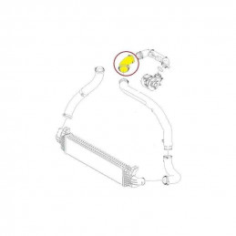 Durite de turbo Ford C-Max Focus 2 981237