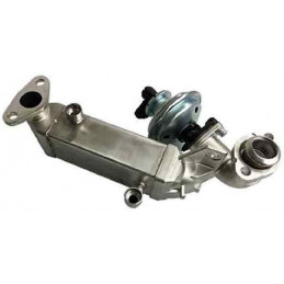 Vanne EGR avec radiateur BMW Série 1 E81/82 E87/88 Série 3 E90/91/92/93 Série 5 E60E/E1 EGR-BM-011A