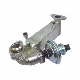 Vanne EGR avec radiateur BMW Série 1 E81/82 E87/88 Série 3 E90/91/92/93 Série 5 E60E/E1 EGR-BM-011A