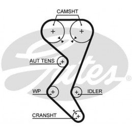 Courroie de distribution GATES Citroen C4 C5 C8 Evasion Jumpy Xsara Fiat Scudo Ulysse Lancia Phedra Zeta Peugeot G5528XS