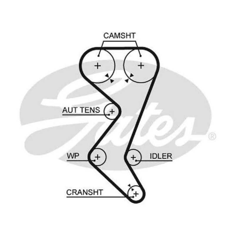 Courroie de distribution GATES Citroen C4 C5 C8 Evasion Jumpy Xsara Fiat Scudo Ulysse Lancia Phedra Zeta Peugeot G5528XS