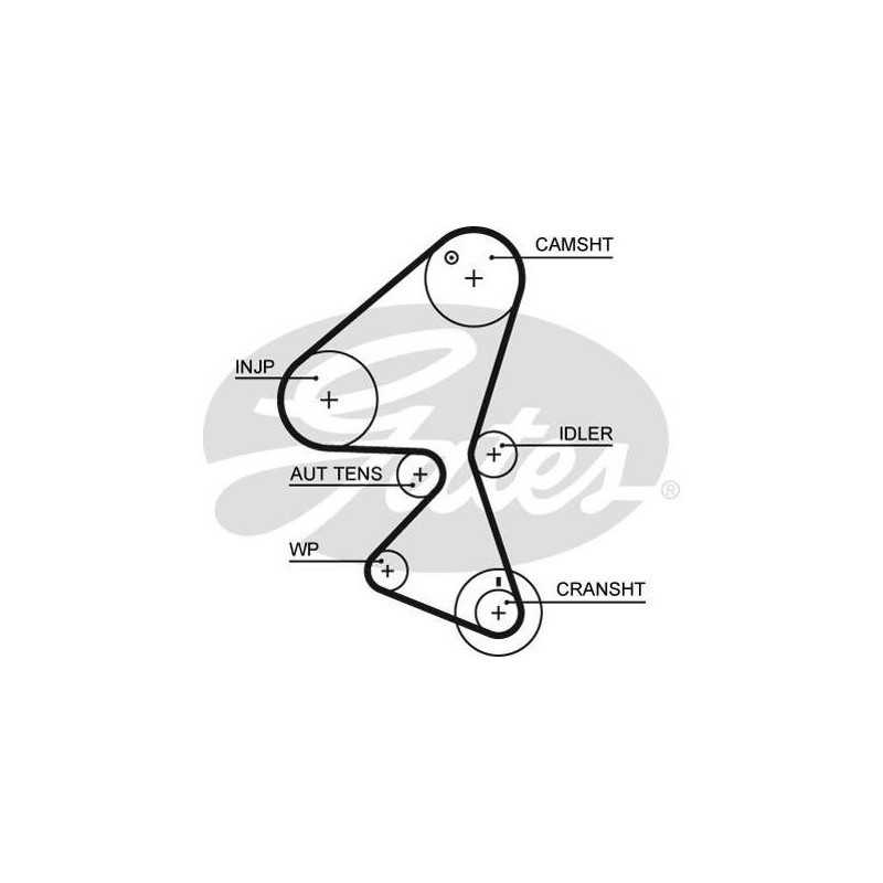 Courroie de distribution GATES Citroën Fiat Ford Mazda Mini Peugeot Volvo 1.6 hdi tdci G5598XS - 5598XS