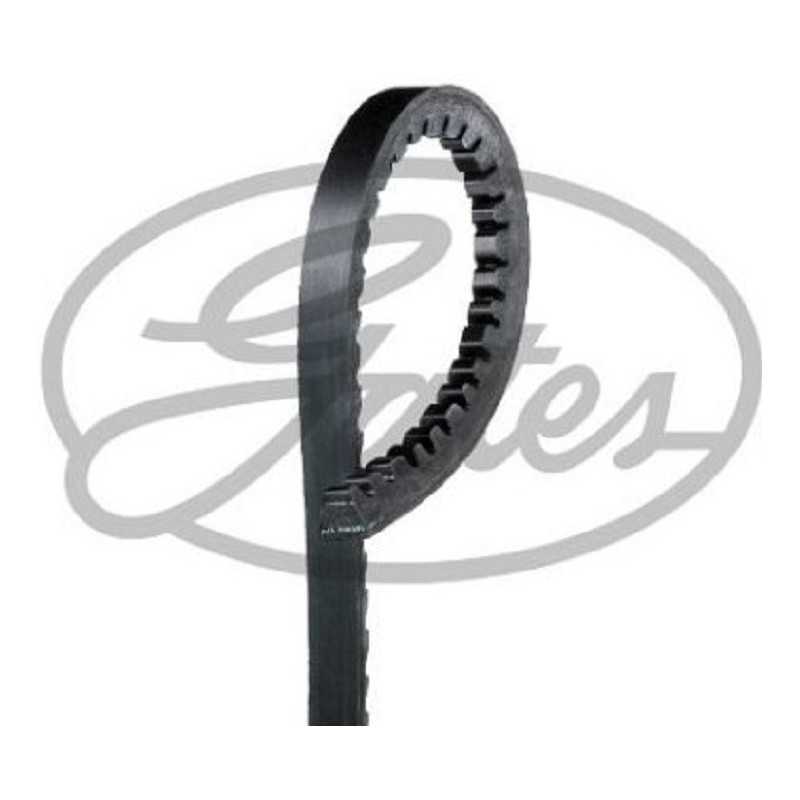 Courroie d'accessoires Gates AVX 13x1000 mm G6470MC G6470MC Courroie d'accessoires Gates AVX 13x1000 mm G6470MC G6470MC