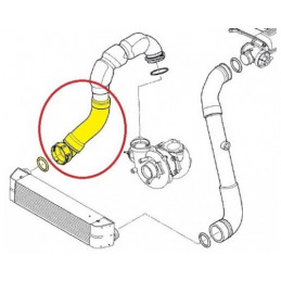 Durite de turbocompresseur droite  2400303
