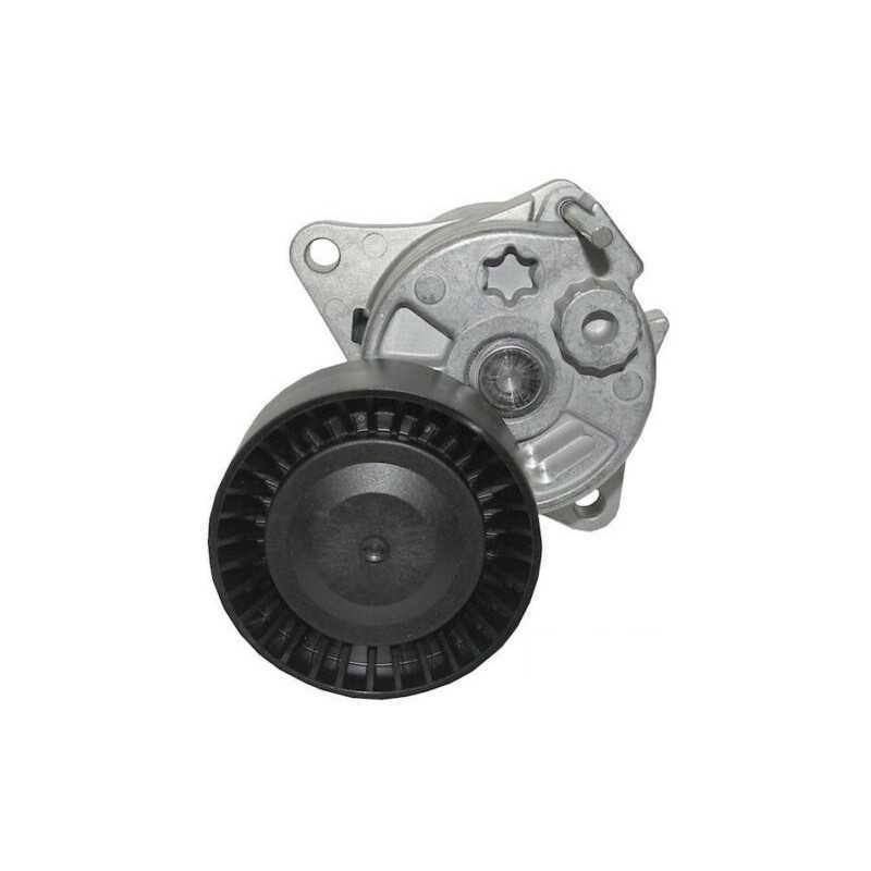 Galet Tendeur Courroie Alternateur 60 mm - PEUGEOT 307 1.6 HDI 90 é part.  10-2001 - Cdiscount Auto