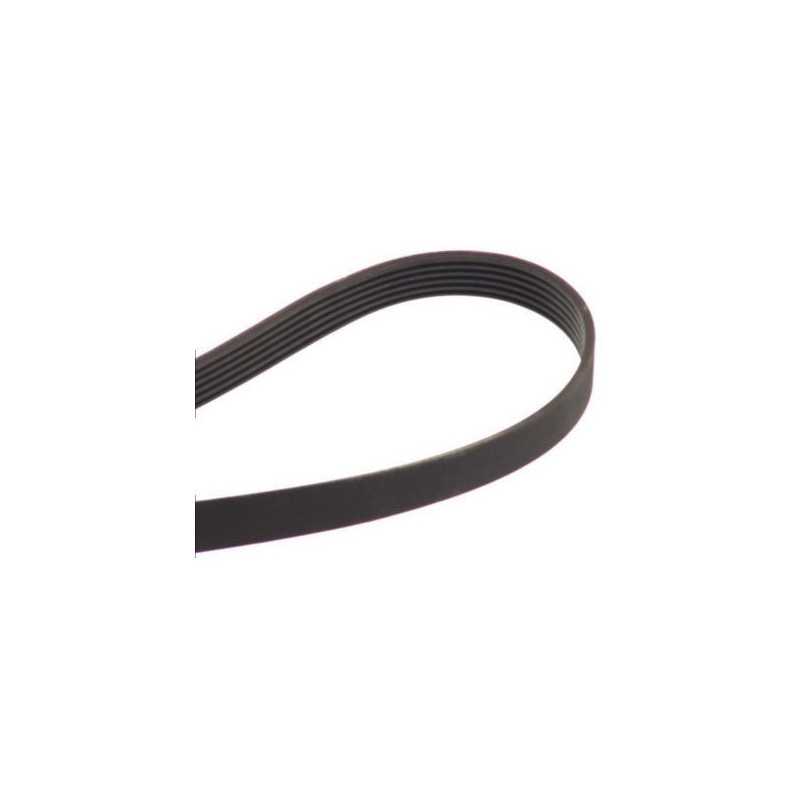 Courroie accessoire 6PK1555 6PK1555 Courroie accessoire 6PK1555 6PK1555
