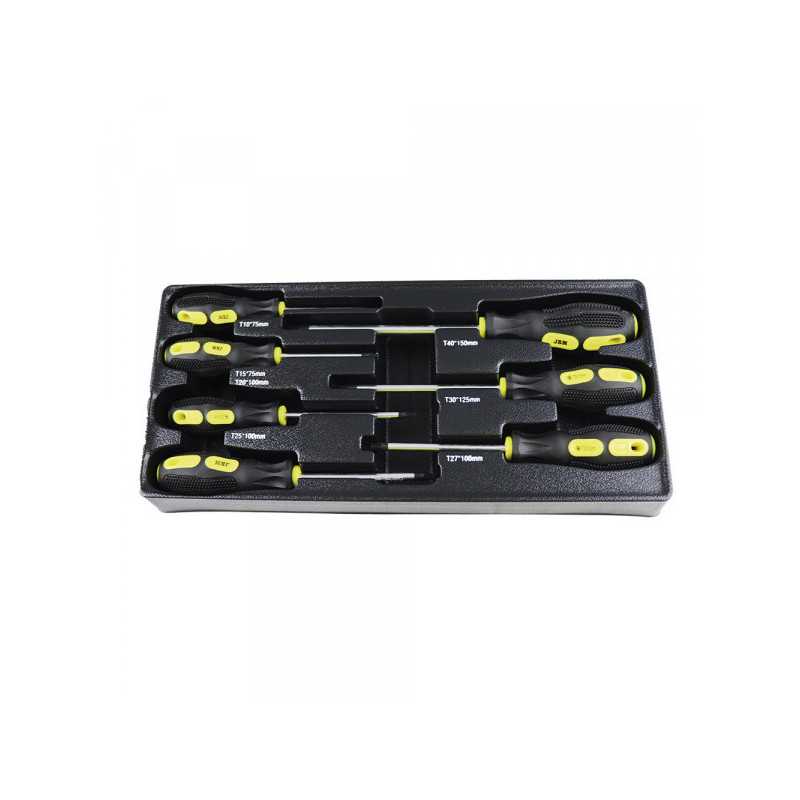 MODULE + 7 TOURNEVIS CRUCIFORMES POUR SERVANTE D'OUTILS 10677