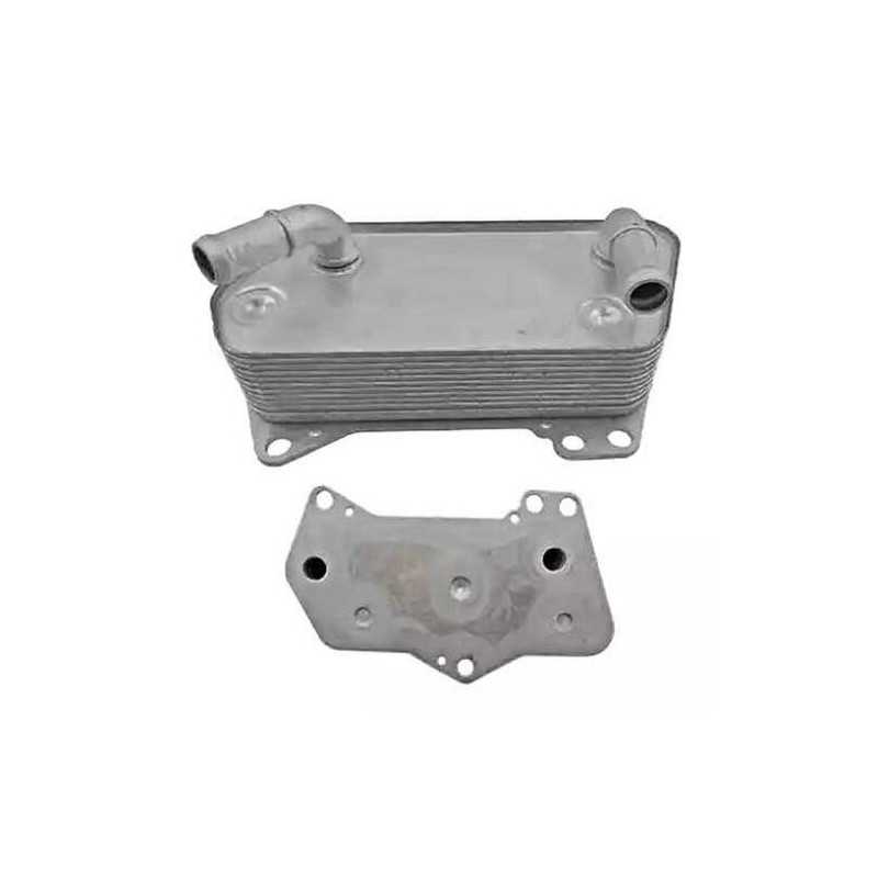 Radiateur d'huile de boîte automatique NISSENS pour Audi A3 Q3 TT Seat Alhambra Altea Leon Skoda Octavia Superb Yeti Vw 49870096 Radiateur d'huile de boîte automatique NISSENS pour Audi A3 Q3 TT Seat Alhambra Altea Leon Skoda Octavia Superb Yeti Vw 49870096