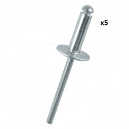 5 RIVETS 4,8 x 16,90mm 10877 *5