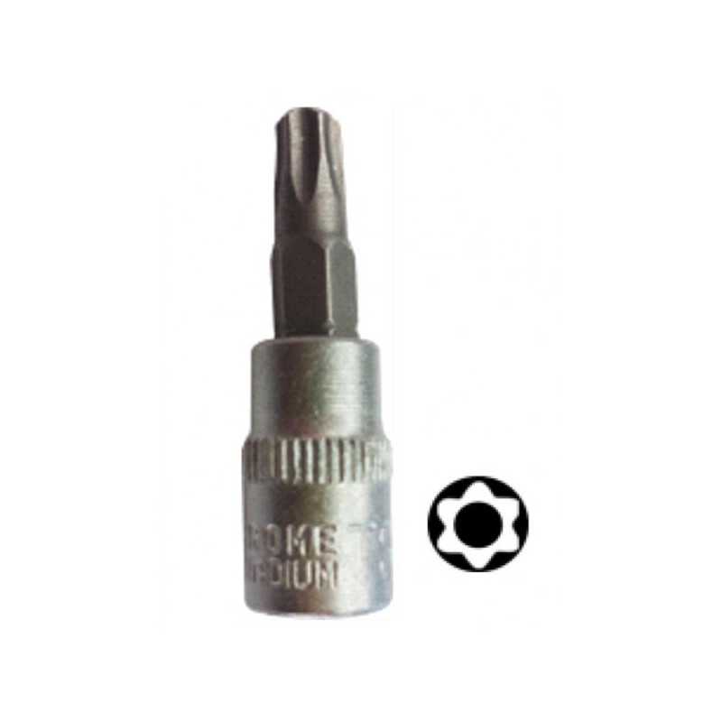 Tete pour Manche Tournevis TX - INV T9 1/4 Pouce, Chrome