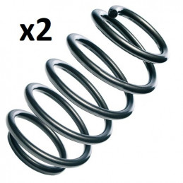 Jeu de 2 ressorts de suspension avant pour Citroen Berlingo 07092  *2