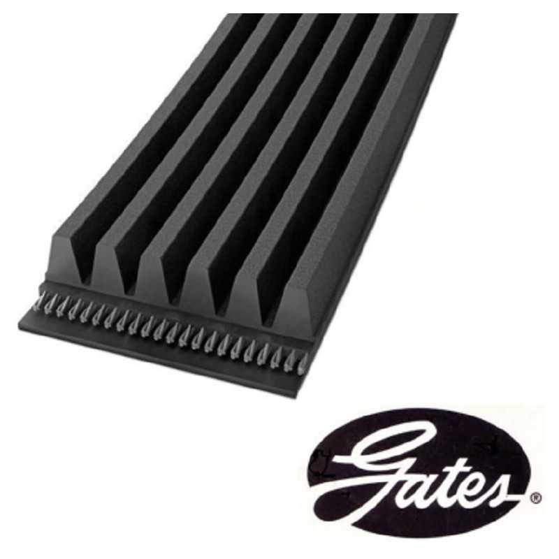 Courroie trapézoïdale à nervures GATES pour Citroen Jumper Fiat Ducato Ford Transit Tourneo Peugeot Boxer 6PK873SF Courroie trapézoïdale à nervures GATES pour Citroen Jumper Fiat Ducato Ford Transit Tourneo Peugeot Boxer 6PK873SF