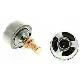 Thermostat d'eau Renault 43.5/40.5mm TH4495.83