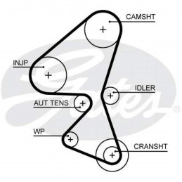 Courroie de distribution GATES pour Citroen C3 DS3 Ford Fiesta Peugeot 206 207 208 2008 1.4 G5657XS