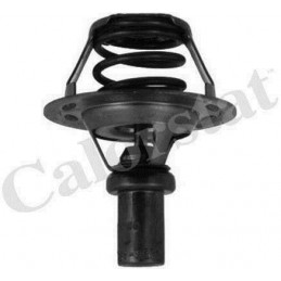 Thermostat d'eau, calorstat pour Renault 19 Clio Rapid 1.2 1.4 5284.91/J