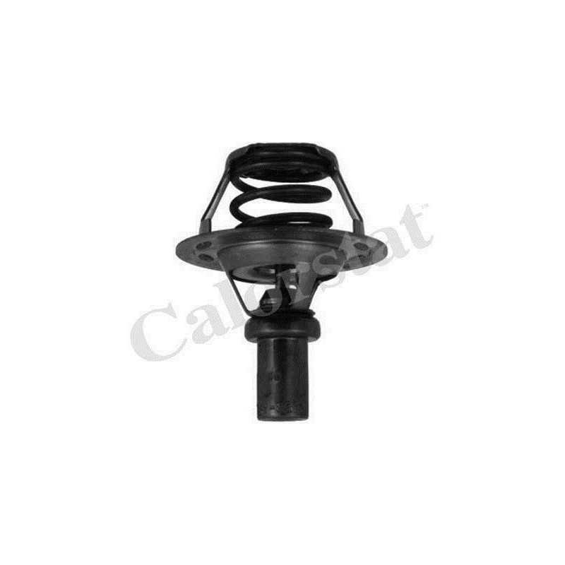 Thermostat d'eau, calorstat pour Renault 19 Clio Rapid 1.2 1.4 5284.91/J