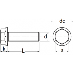 VIS TÊTE H À EMBASE CRANTÉE M6-1.00 X 60 mm CARROSSERIE Citroen Peugeot