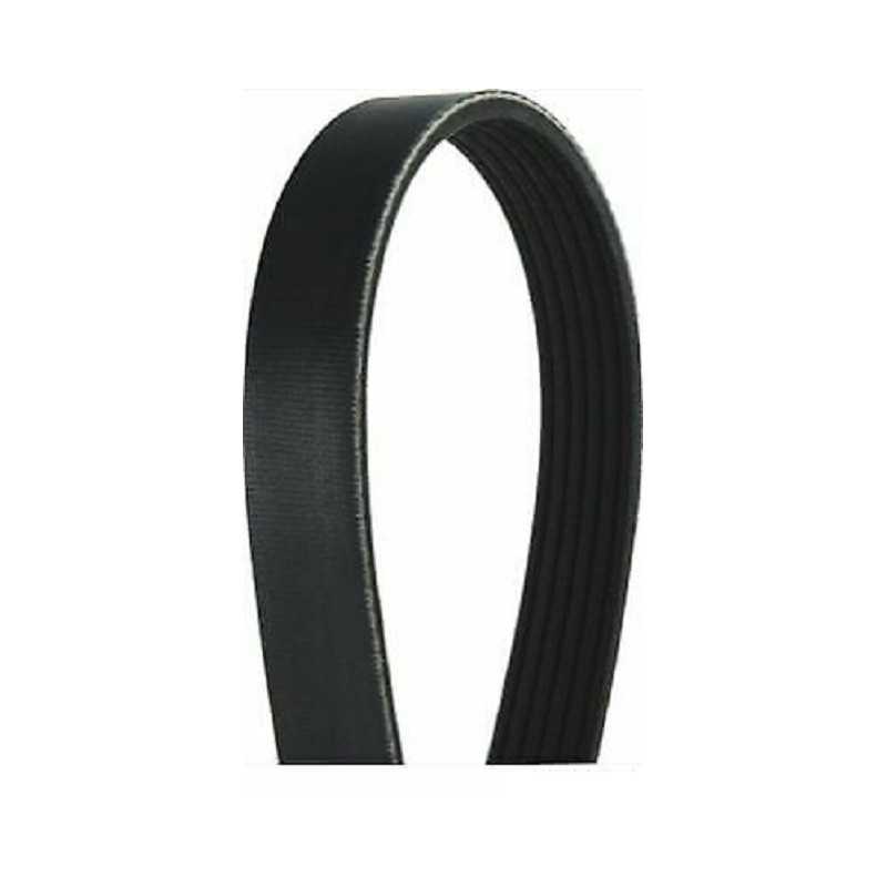 Courroie trapézoïdale à nervures NIPPARTS pour Honda Accord 5 Nissan Almera 2 Suzuki Samourai J1061115 Courroie trapézoïdale à nervures NIPPARTS pour Honda Accord 5 Nissan Almera 2 Suzuki Samourai J1061115
