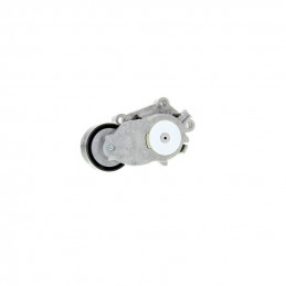Galet tendeur Citroen Berlingo C3 C4...
