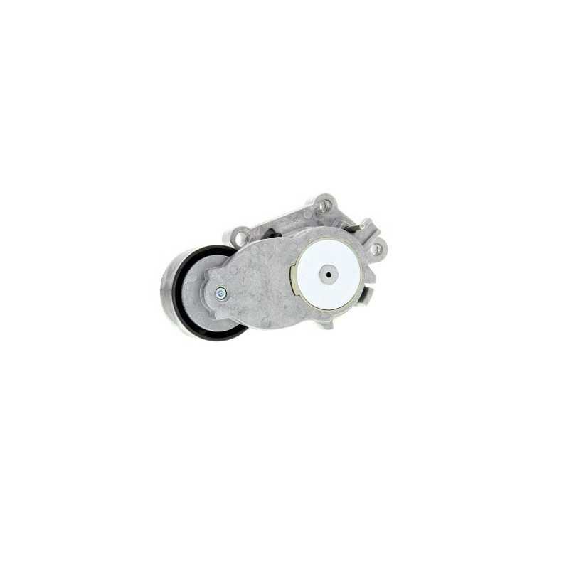 Galet tendeur Citroen Berlingo C3 C4 C5 DS4 Peugeot 207 208 307 407 508 5008 Partner
