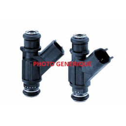 Injecteur Delphi R02501AA1