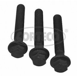 Kit de vis, poulie damper pour Citroen Jumper Ford Transi Peugeot Boxer 80004873