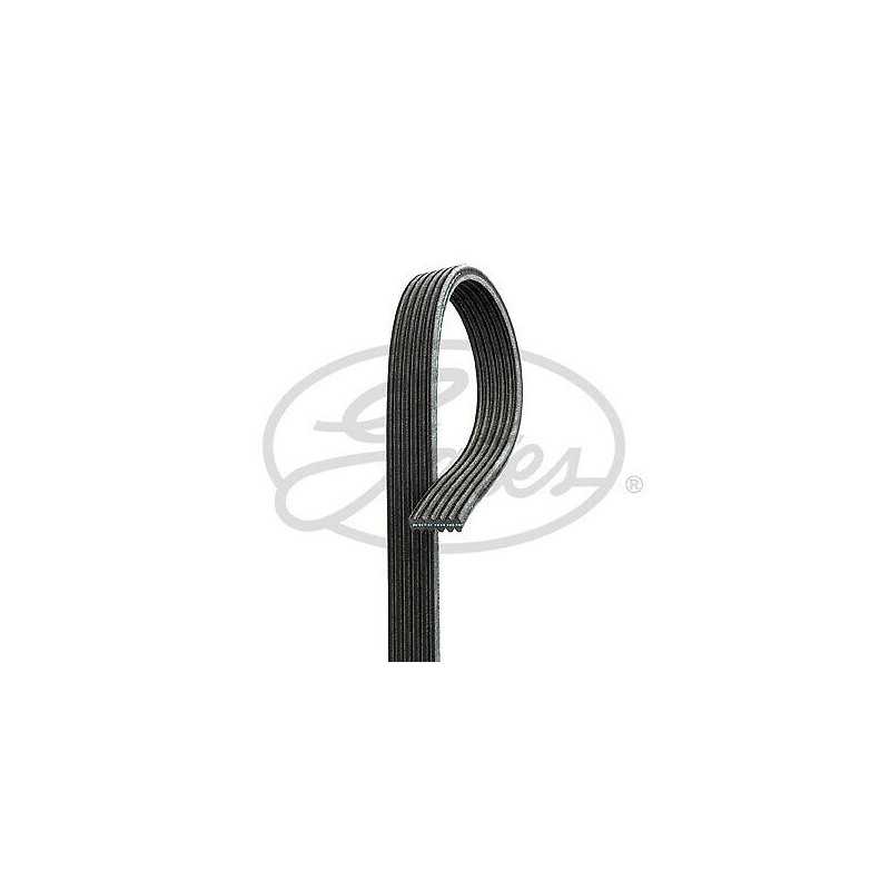 Courroie trapézoïdale à nervures GATES pour Porsche 911 Volvo C70 V70 S70 S80 XC70 6DPK1825 Courroie trapézoïdale à nervures GATES pour Porsche 911 Volvo C70 V70 S70 S80 XC70 6DPK1825