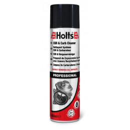 Nettoyant Système EGR & Carburateur
