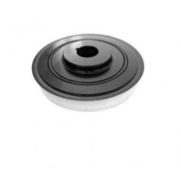 Poulie Vilebrequin pour Peugeot 206 306 307 406 806 607 Boxer Citroen xantia Xsara Picasso 2.0 2.2 HDI DPV1056
