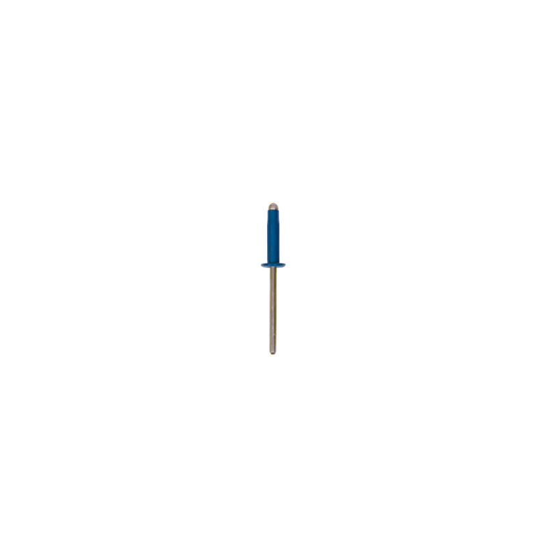 Lot de 30 rivets peints spécial plaque Bleu Restagraf Ref: 4525 4525 Lot de 30 rivets peints spécial plaque Bleu Restagraf Ref: 4525 4525