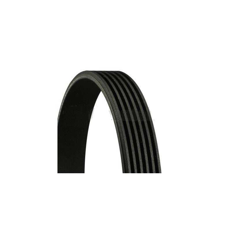 Courroie trapézoïdale à nervures 6PK1845 pour Alfa Romeo Fiat Ford Lancia Volvo