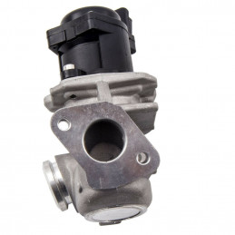 Vanne EGR  Peugeot Citroen 1618N8 Ford 1333611 1363591