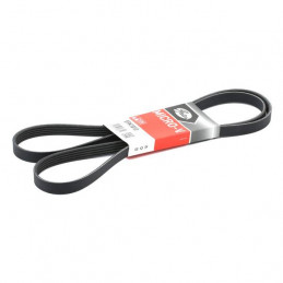 Courroie d'accessoire