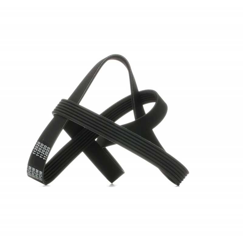 Courroie accessoire 6PK1244
