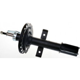 Amortisseur à pression de gaz pour...