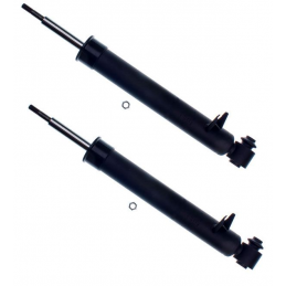 copy of