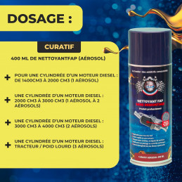 Nettoyant FAP Aérosol 1861D04FR