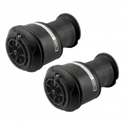 2 Amortisseurs Arriere Suspension Pneumatique Citroen C4 Picasso et Grand Picasso
