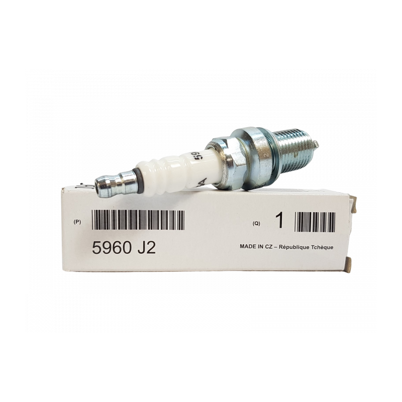 Bougie d'allumage pour Renault, Nissan, Opel, Ford, Citroen, Peugeot 5960J2 Bougie d'allumage pour Renault, Nissan, Opel, Ford, Citroen, Peugeot 5960J2