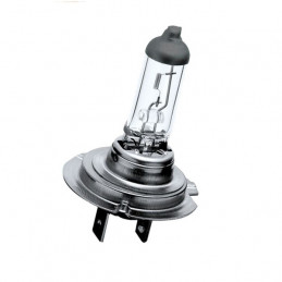Ampoule h7 12V 55W blanc h7 ampoule