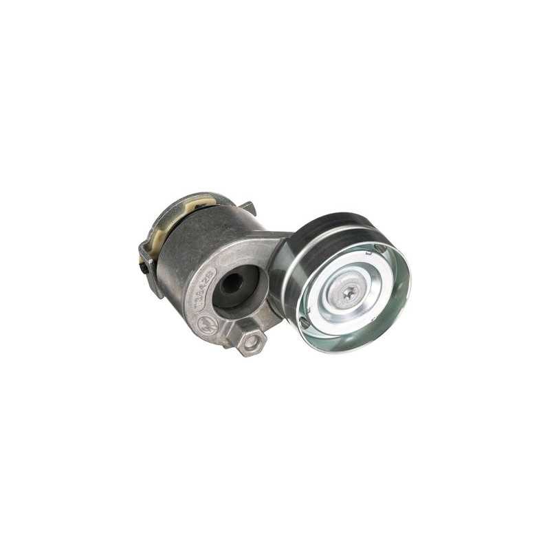 Galet tendeur d'accessoire pour Renault Megane ACT2156.00